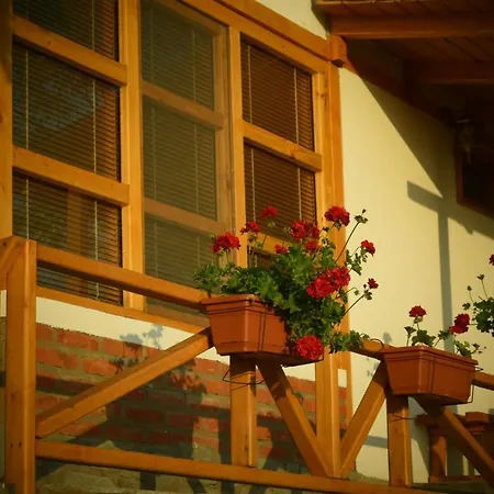 Sunset House * Ohrid