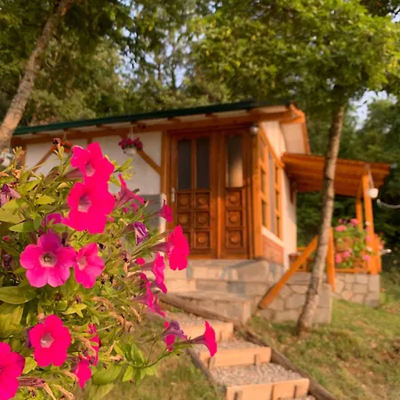 Sunset House Apartment *